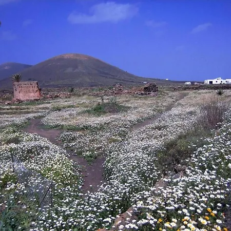 Dom wakacyjny Castillo Lanzarote Winni By Interhome